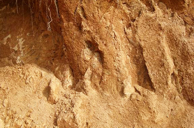 绯ɰԵɳڽ𣿷绯ɰֻһɰߣ