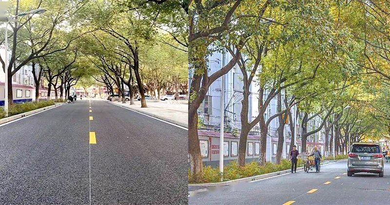 一条会呼吸的城市道路 一条会呼吸的城市道路